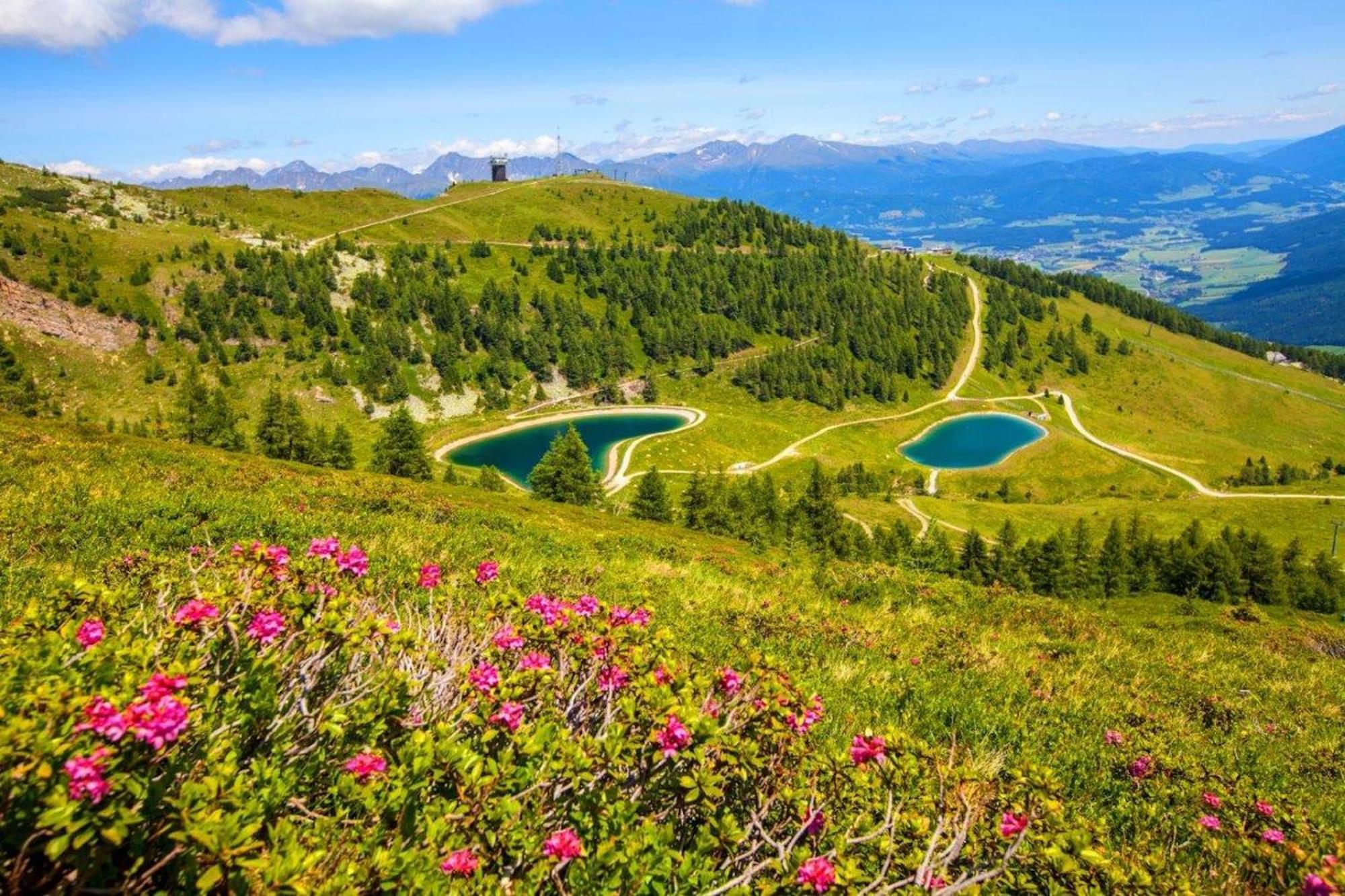 Апарт готель Stoagas Waidblick Санкт-Міхель-ім-Лунгау Екстер'єр фото